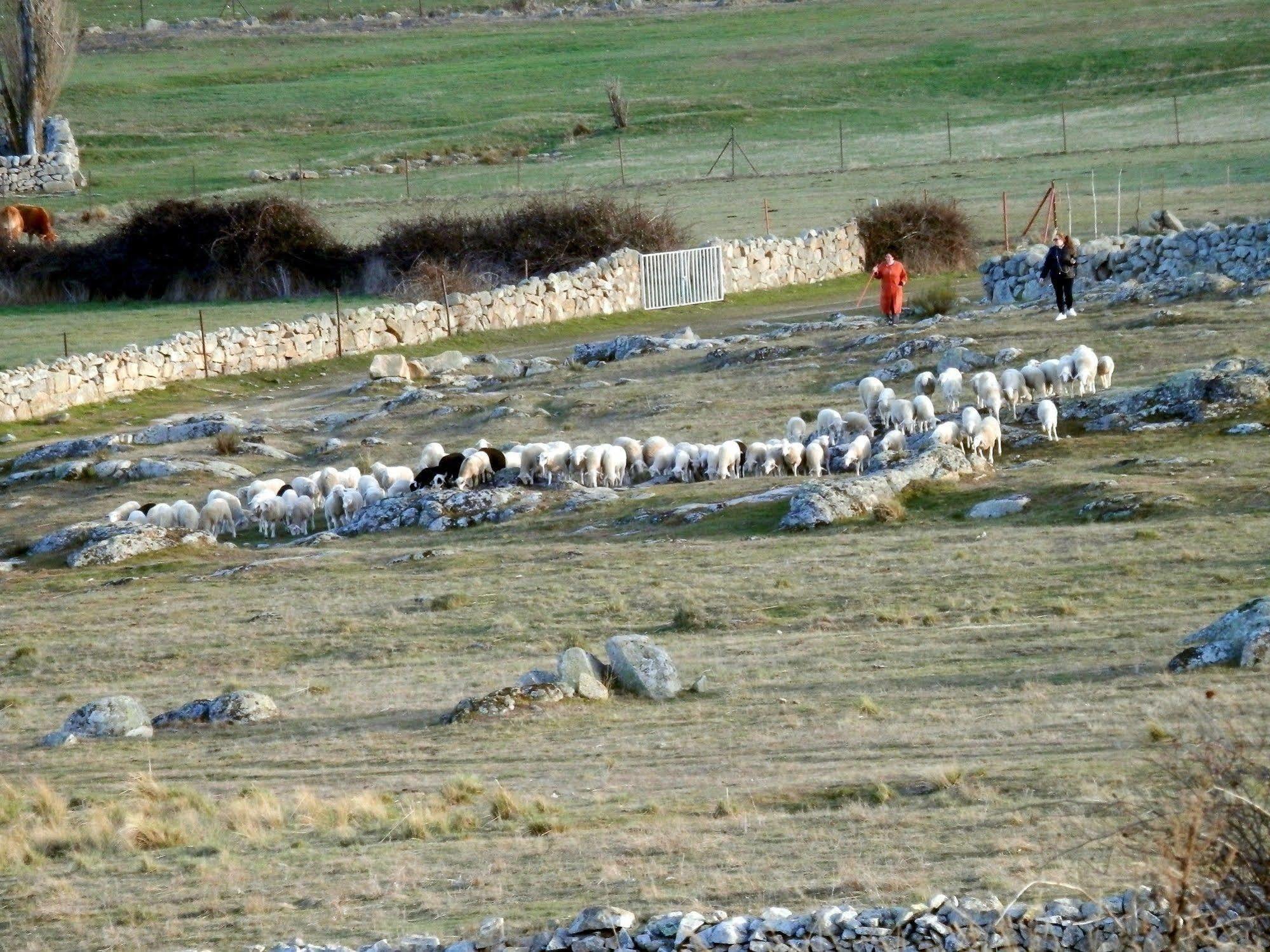 Casa Rural El Dolmen Bernuy-Salinero Buitenkant foto